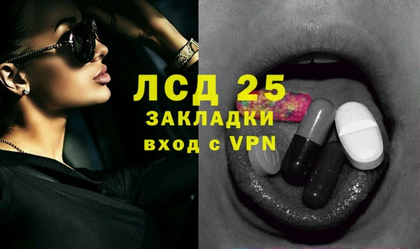 ГАЛЛЮЦИНОГЕННЫЕ ГРИБЫ Алзамай