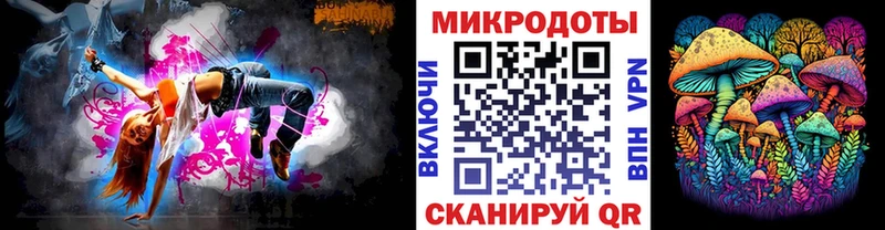 Псилоцибиновые грибы Psilocybe  Ставрополь 